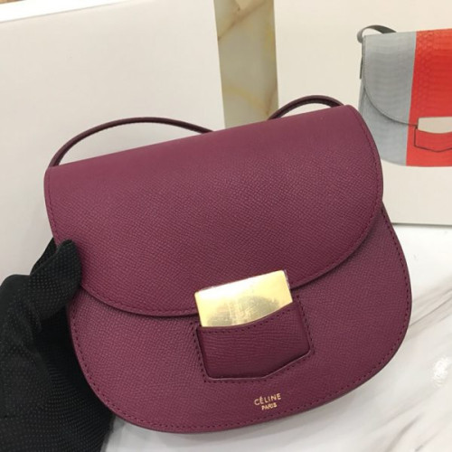 Ce**e-trotteur-bag-13